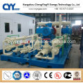 CNG27 Skid-Mounted Lcng CNG LNG Combination Station Enchimento